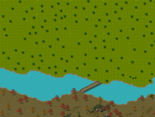 GlobeForest